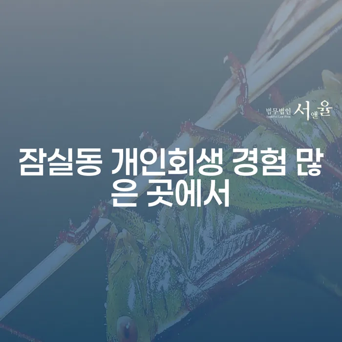 잠실동 개인회생 경험 많은 곳에서