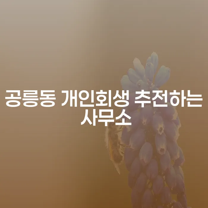 공릉동 개인회생 추전하는 사무소